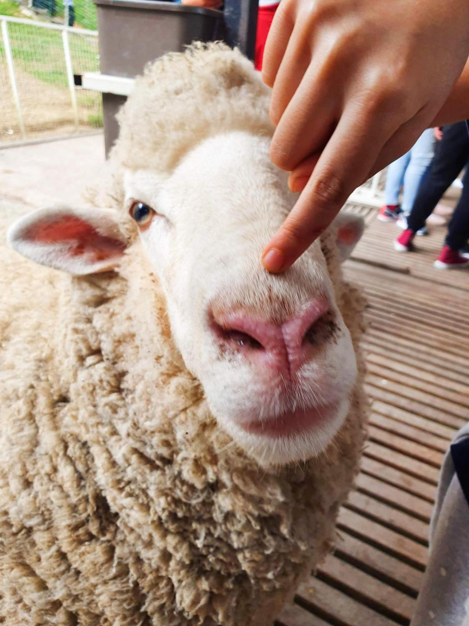 Mossy Forest Family Retreat V, Kea Farm, 2-8 Guests, Keafarm, Pangsapuri